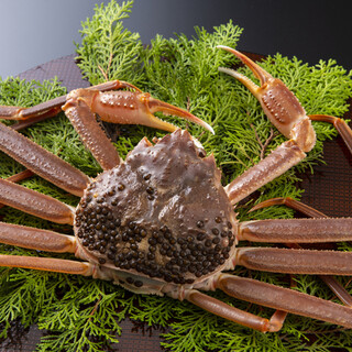 冬の王様・ズワイガニ続々入荷！産地直送で鮮度バツグンです！！