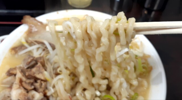 麺屋酒田 本店 - 酒田（ラーメン）の写真