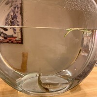 小熊 - 