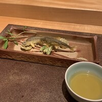 小熊 - 
