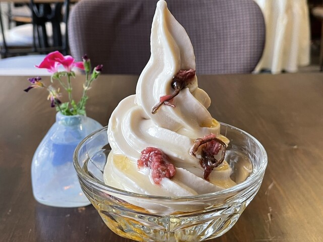 RAINBOW BIRD RENDEZVOUS photo 2