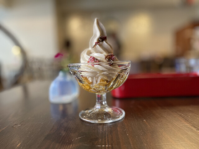 RAINBOW BIRD RENDEZVOUS