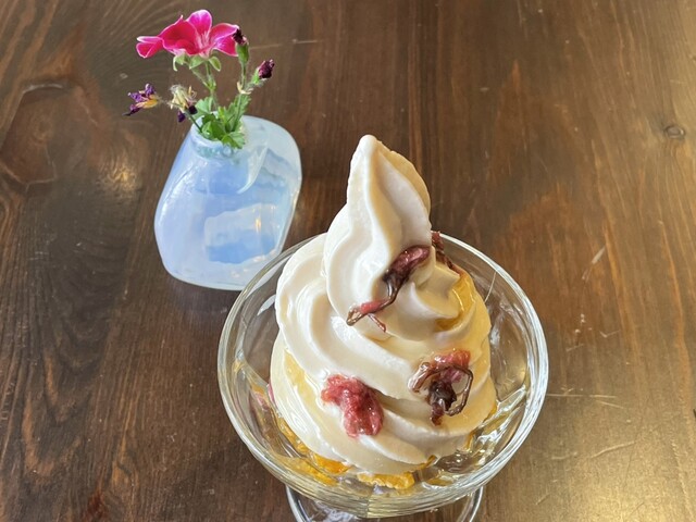 RAINBOW BIRD RENDEZVOUS photo 3