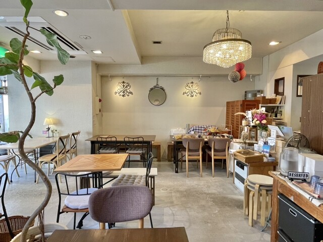 RAINBOW BIRD RENDEZVOUS photo 4