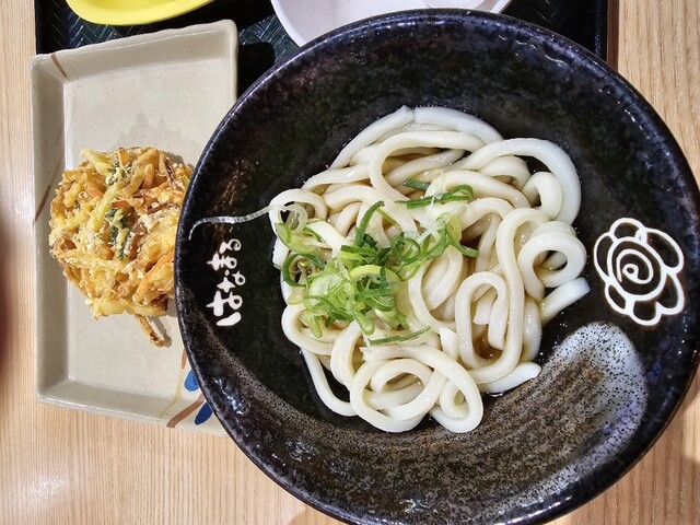 はなまるうどん 弘前ヒロロ店 - 弘前（うどん）の写真