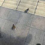 はちやカフェ - 