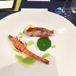 アロマクラシコ - 