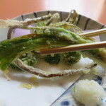 ドライブイン刈谷田 - タラの芽