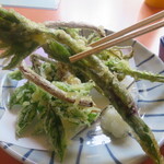 ドライブイン刈谷田 - コシアブラ