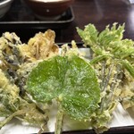 観光旅館　三頭山荘 - 