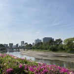 ライトカフェ リバーサイドガーデン - 