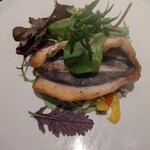 キャトルラパン - 