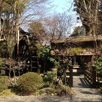 黒茶屋 - 