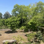 来楽庵 - 店の窓からの眺め