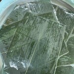 扇一 ます寿し本舗 - 