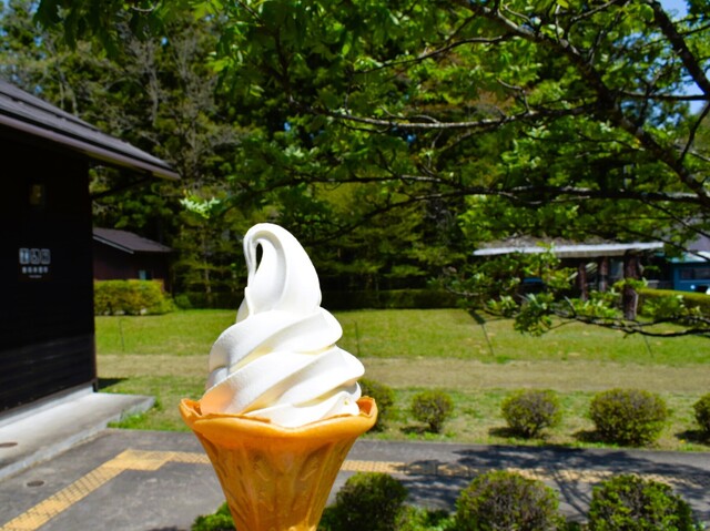 大滝れすとはうす（イタリアンキッチンえむ） - 仙台市太白区その他（パスタ）の写真