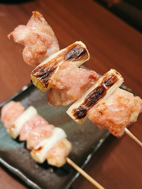 サカナトリ SAKANATORI　HikariBambi　ヒカリバンビ　ラメ サカナトリ SAKANATORI HikariBambi ヒカリバンビ ラメ