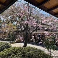 ガーデンレストラン徳川園 - 