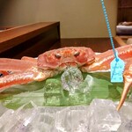 日々魚数寄 東木 - 