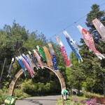 ジャージーミルクスタンド - 