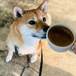 Conkey’s Bakery - PET OK