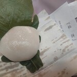 仙太郎 高島屋京都店 - 