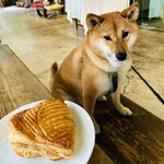 Conkey’s Bakery - APPLE PIE