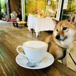 Conkey’s Bakery - カフェモカ