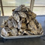 うつみ食堂 鵜の池店 - こんなに食べました！