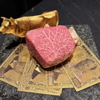 VinIX - 自家製熟成肉の塊焼き