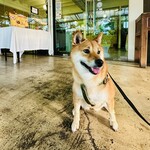 Conkey’s Bakery - PET OK