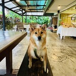 Conkey’s Bakery - 店内