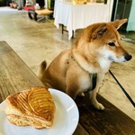 Conkey’s Bakery - アップルパイ