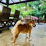 Conkey’s Bakery - 店内