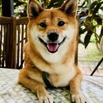 Conkey’s Bakery - PRT OK