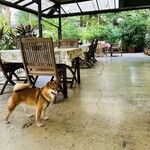 Conkey’s Bakery - 店内