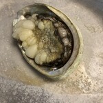 伊豆網代温泉　松風苑 - 