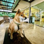 Conkey’s Bakery - 店内