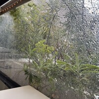 マーサーブランチ テラスハウス - 