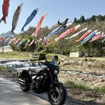 らー麺　Do・Ni・Bo - 高瀬の鯉のぼり