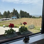 東福寺野倶楽部 - 外の景色1