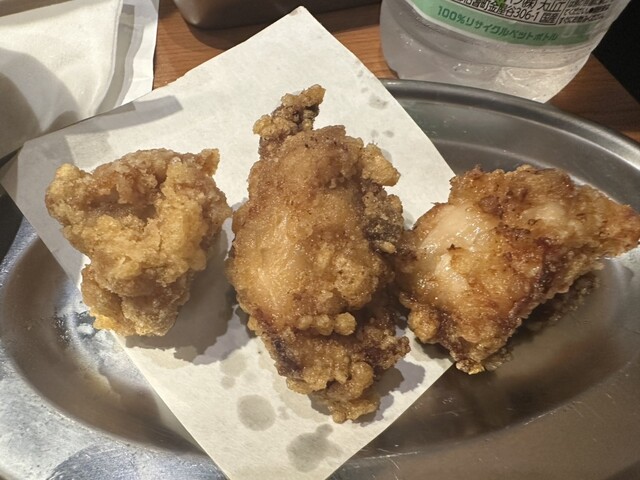 Torievisu Hiroshima Nagarekawa Ten photo 5