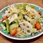 海南之家 - 20250410野菜サラダ