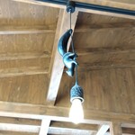 Shigeno Ya - 可愛的燈光松鼠