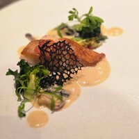 [シェフのおすすめコース] その日のおすすめ食材を使用したおまかせのコース