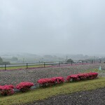 井尻太郎茶園 峠の里 - 