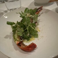 カーザ ヴィニタリア - 