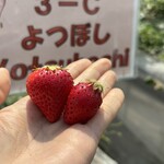 姫路ハートフル観光農園 - 