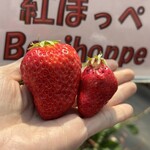 姫路ハートフル観光農園 - 