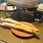 裏の山の木の子 - 揚げ春巻き